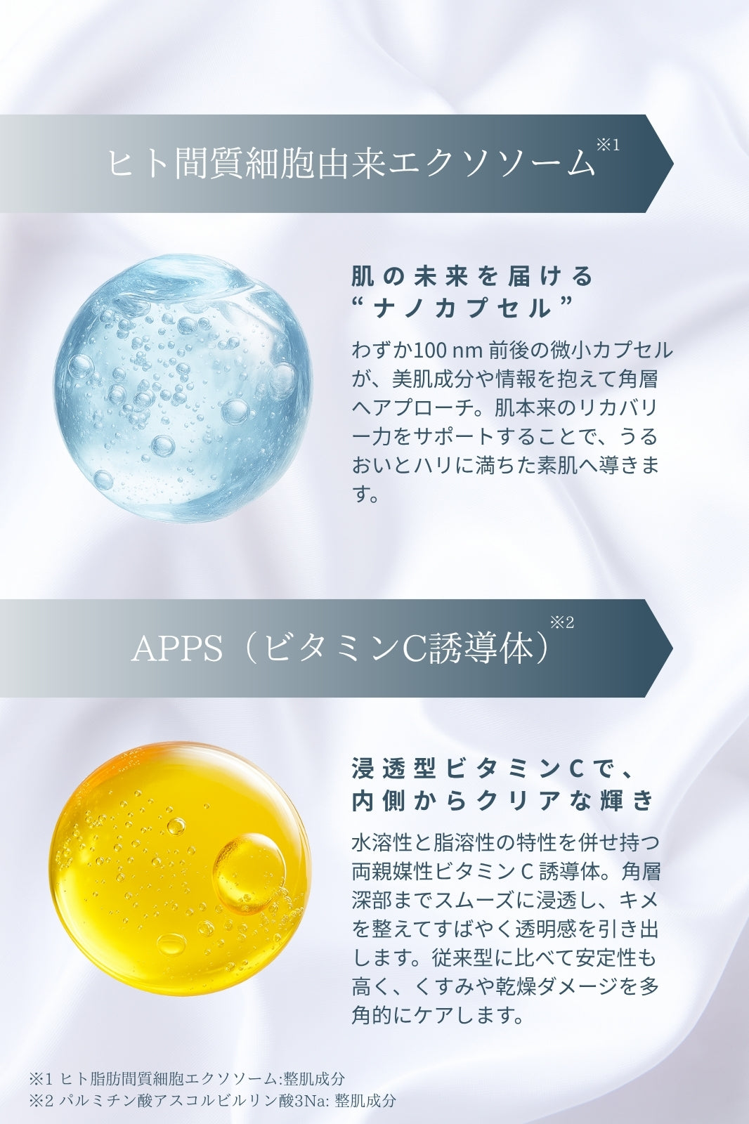 エクソプラス 美容液 | 皮膚科学の力で、肌に実感を。 – EXO PLUS++